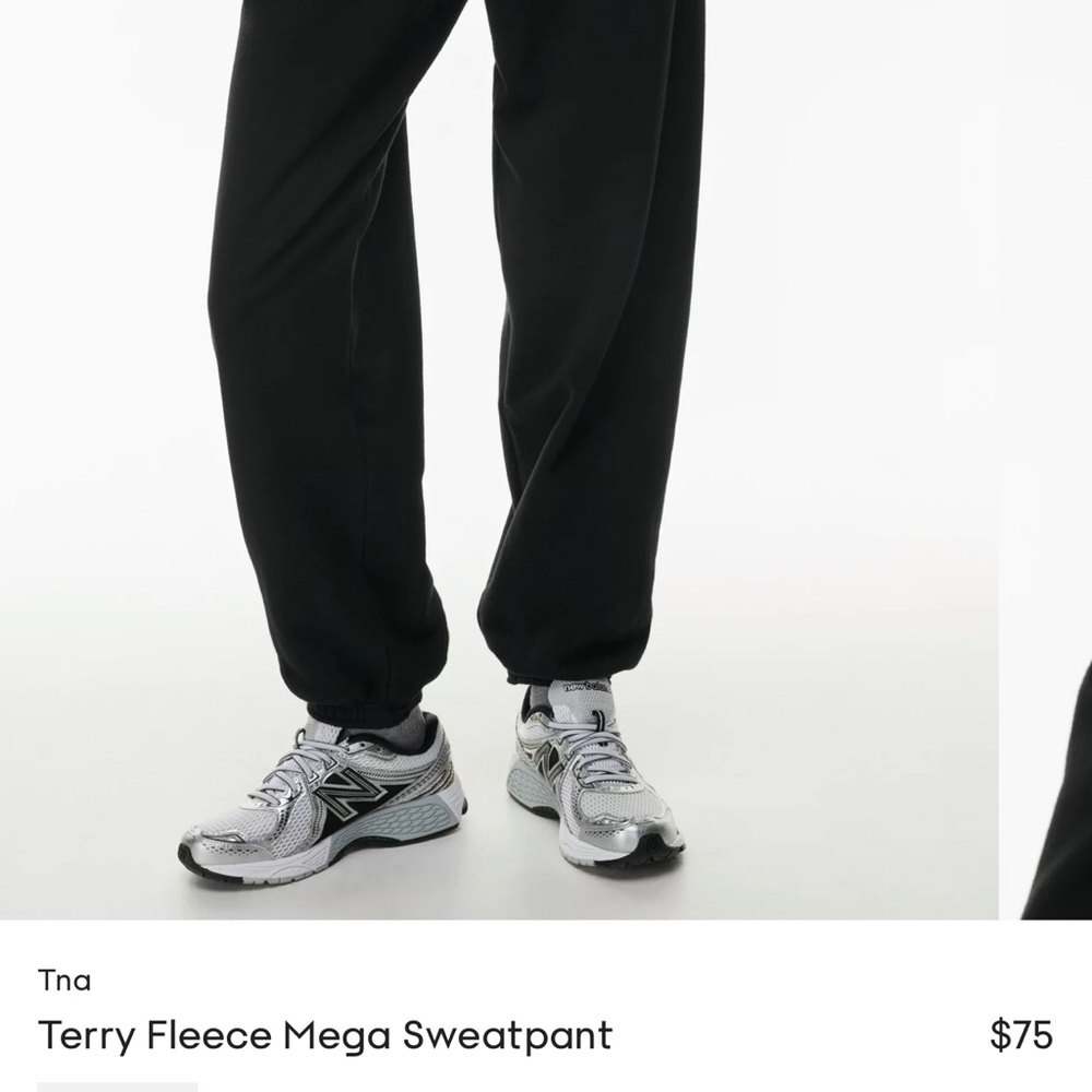 Aritzia TNA mega sweatpants